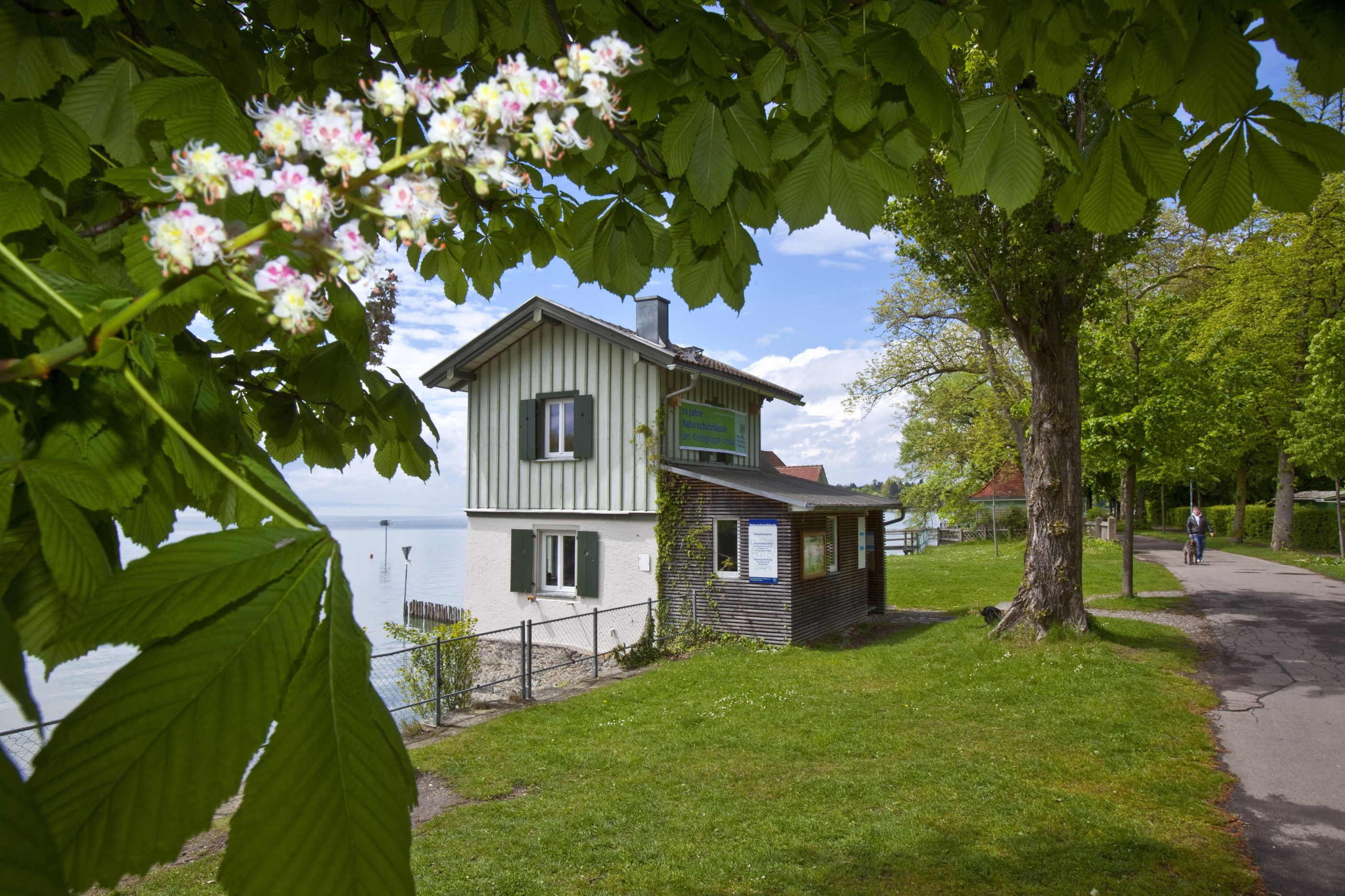 Lotzbeckhaeusle cf klein